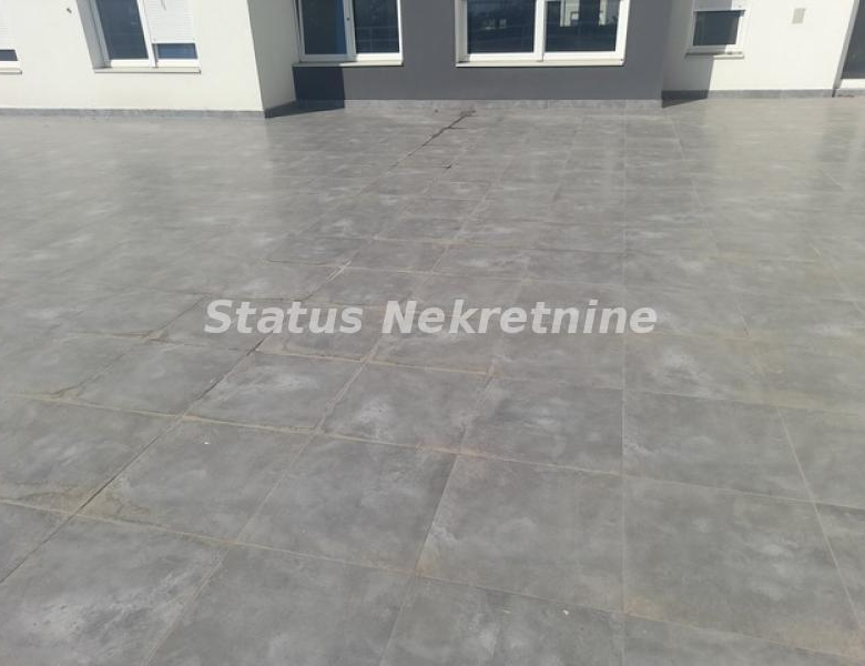 Lokal Izdavanje Novi Sad  333 m2