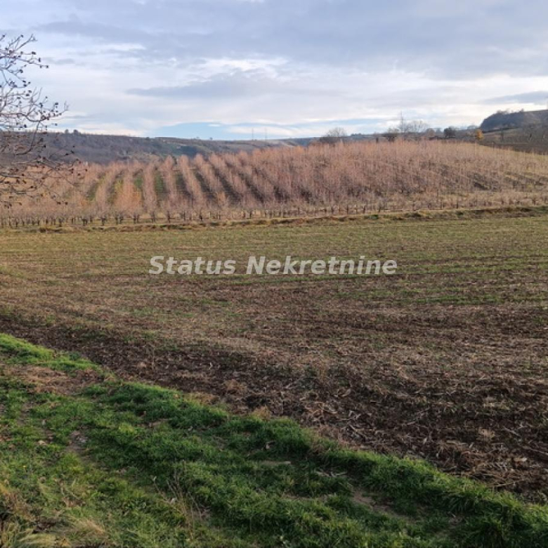 Plac Prodaja Sremski Karlovci  0 m2