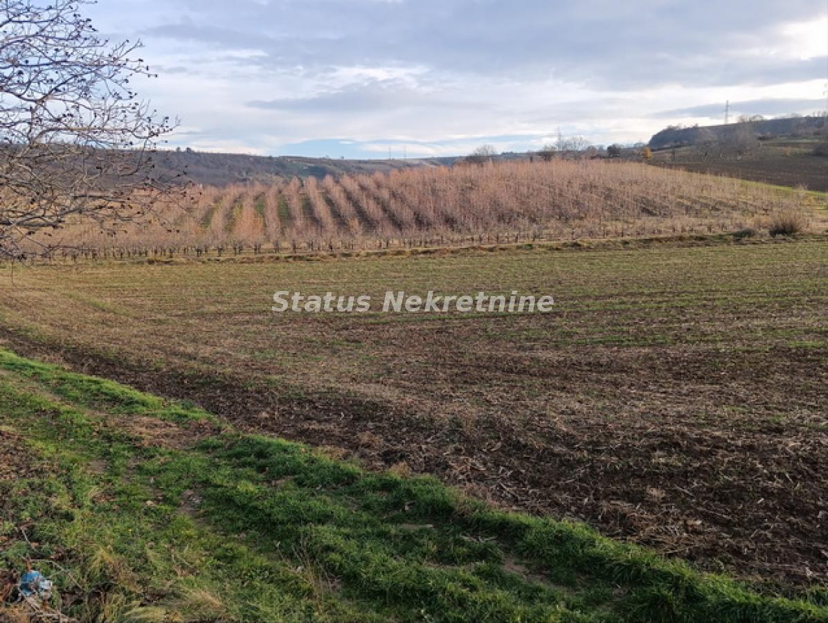 Plac Prodaja Sremski Karlovci Plac Prodaja Sremski Karlovci 0 m2