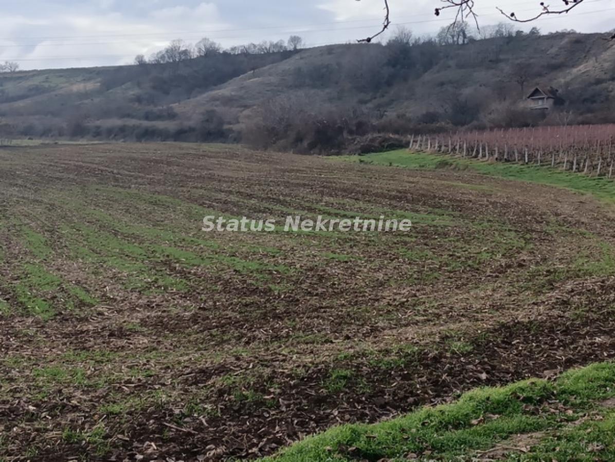 Plac Prodaja Sremski Karlovci Plac Prodaja Sremski Karlovci 0 m2
