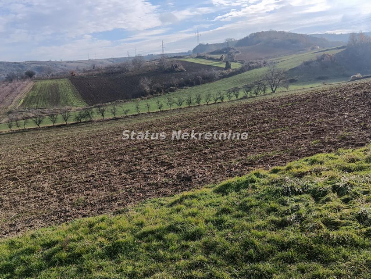 Plac Prodaja Sremski Karlovci Plac Prodaja Sremski Karlovci 0 m2