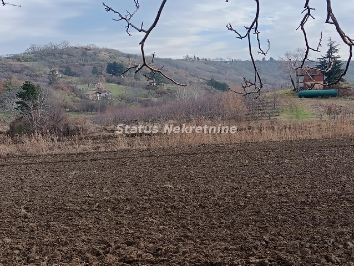 Plac Prodaja Sremski Karlovci Plac Prodaja Sremski Karlovci 0 m2