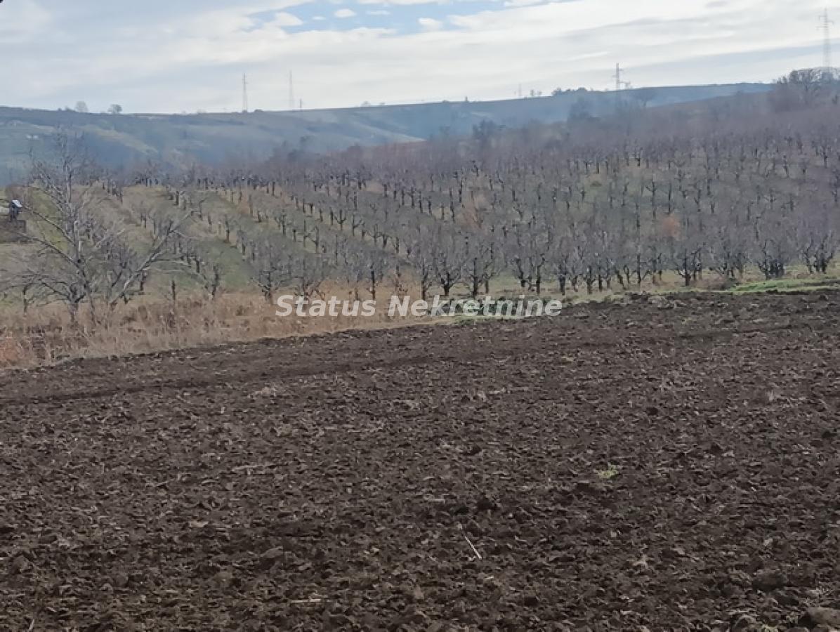 Plac Prodaja Sremski Karlovci Plac Prodaja Sremski Karlovci 0 m2
