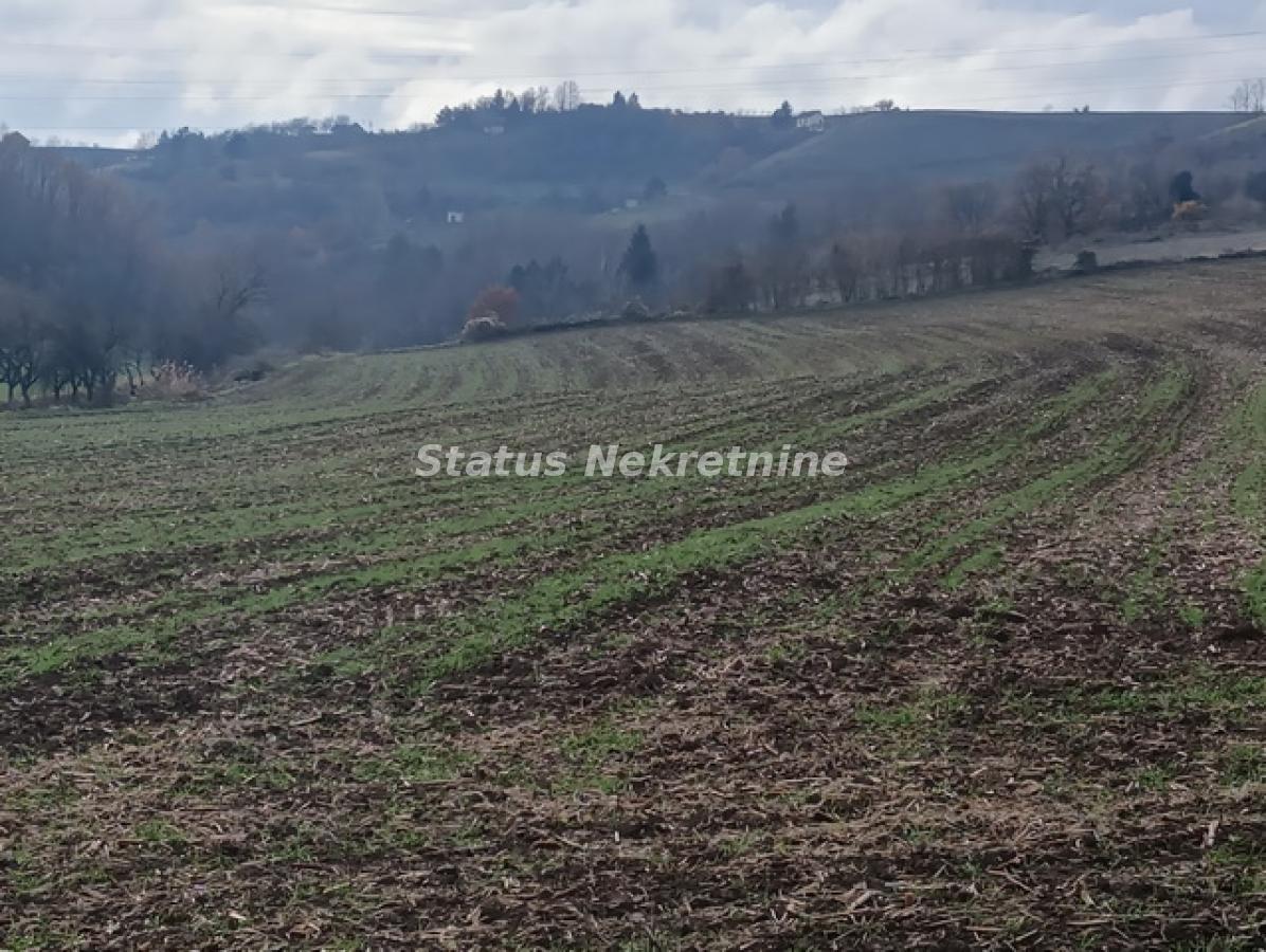 Plac Prodaja Sremski Karlovci Plac Prodaja Sremski Karlovci 0 m2