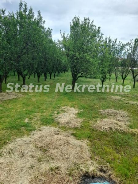 Kuća Prodaja Vrdnik  160 m2