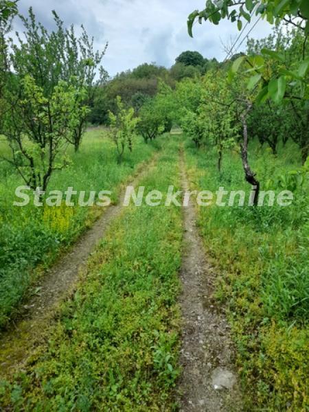 Kuća Prodaja Vrdnik  160 m2