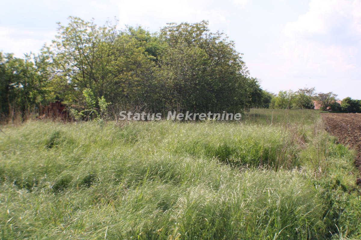 Plac Prodaja Temerin Plac Prodaja Temerin 0 m2