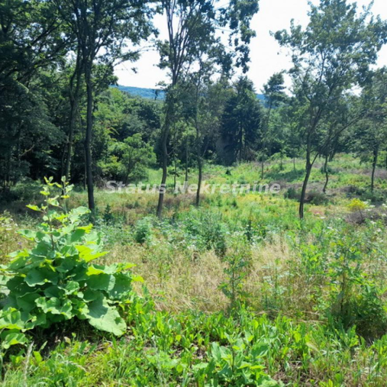 Plac Prodaja Vrdnik  0 m2