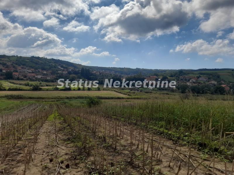Plac Prodaja Novi Sad  0 m2