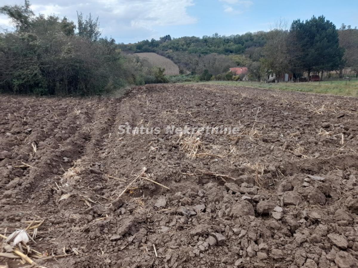 Plac Prodaja Irig  0 m2