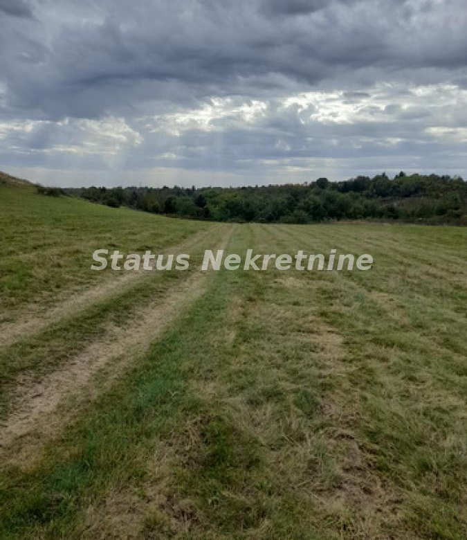 Plac Prodaja Irig  0 m2