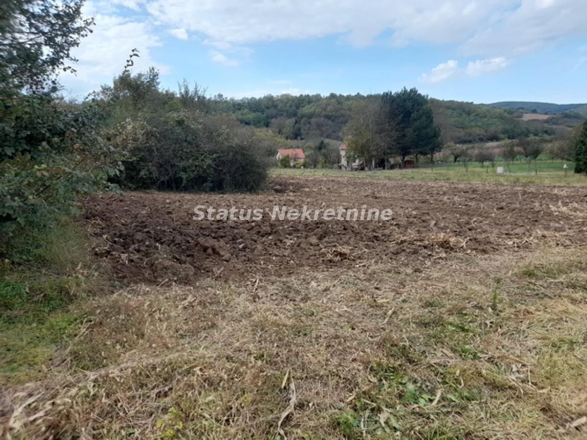 Plac Prodaja Irig  0 m2