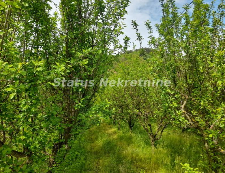 Plac Prodaja Vrdnik  0 m2