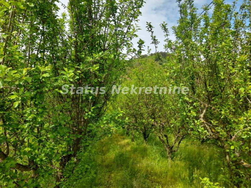 Plac Prodaja Vrdnik Plac Prodaja Vrdnik 0 m2
