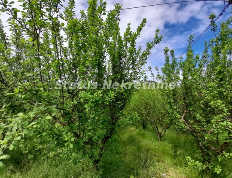 Plac Prodaja Vrdnik  0 m2