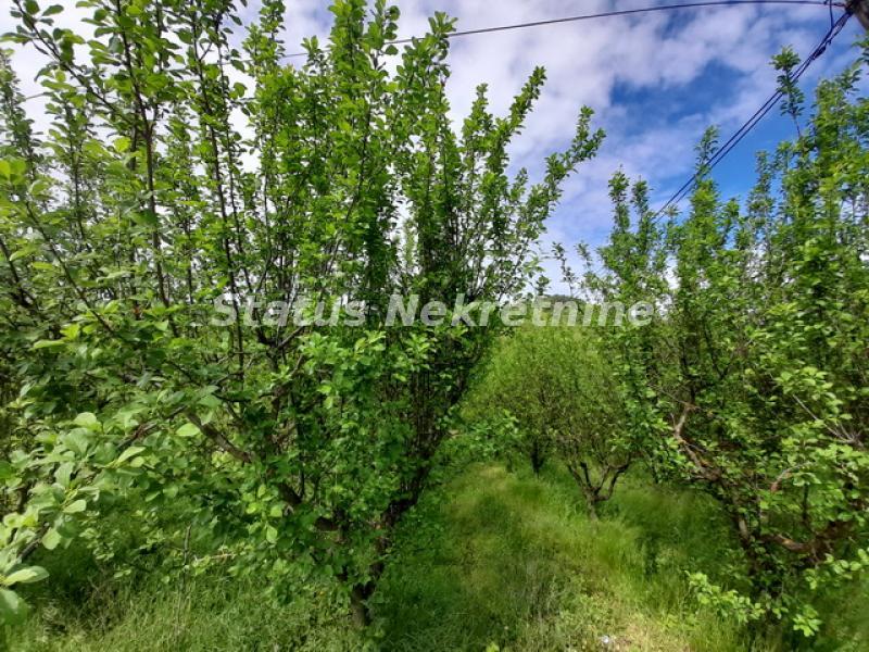 Plac Prodaja Vrdnik Plac Prodaja Vrdnik 0 m2
