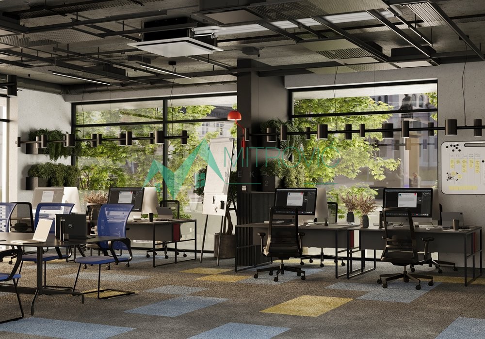 Lokal Prodaja Novi Sad  771 m2
