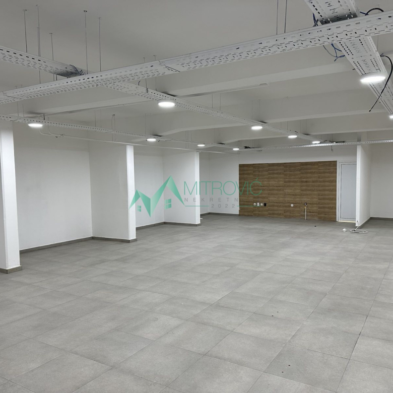 Lokal Prodaja Sremska Kamenica  701 m2