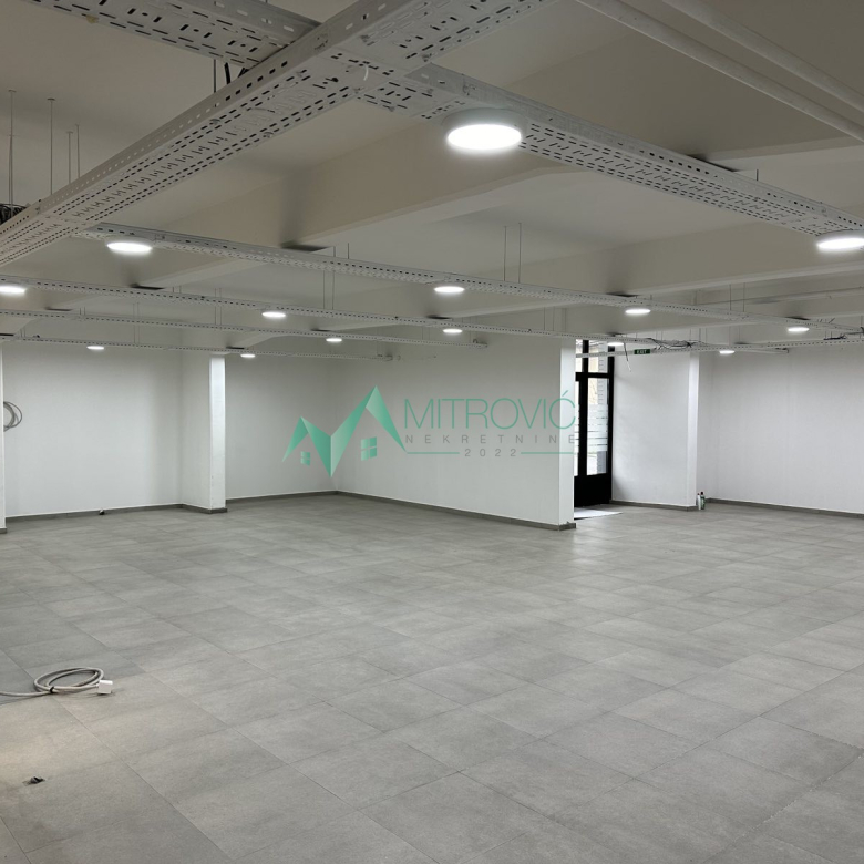 Lokal Prodaja Sremska Kamenica  701 m2