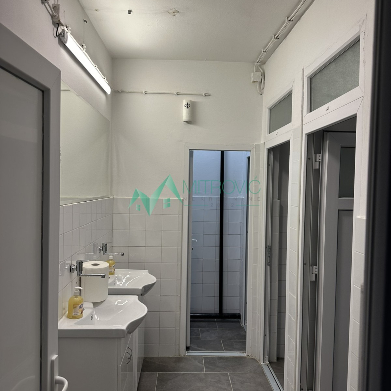 Lokal Prodaja Sremska Kamenica  701 m2