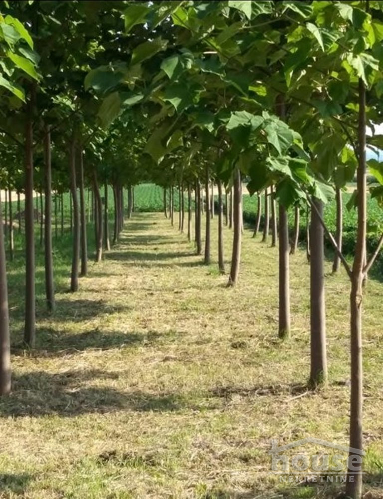 Kuća Prodaja Novi Sad Kuća Prodaja Novi Sad 60 m2