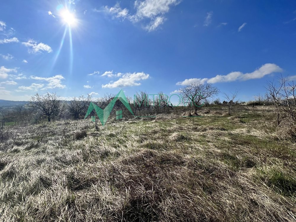 Plac Prodaja Sremski Karlovci Plac Prodaja Sremski Karlovci 8048 m2