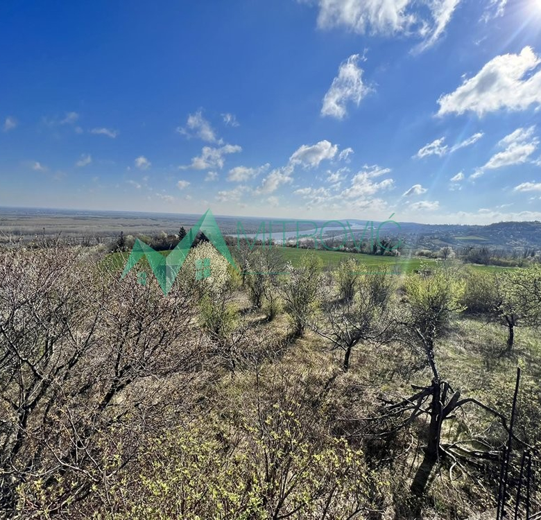 Plac Prodaja Sremski Karlovci  8048 m2