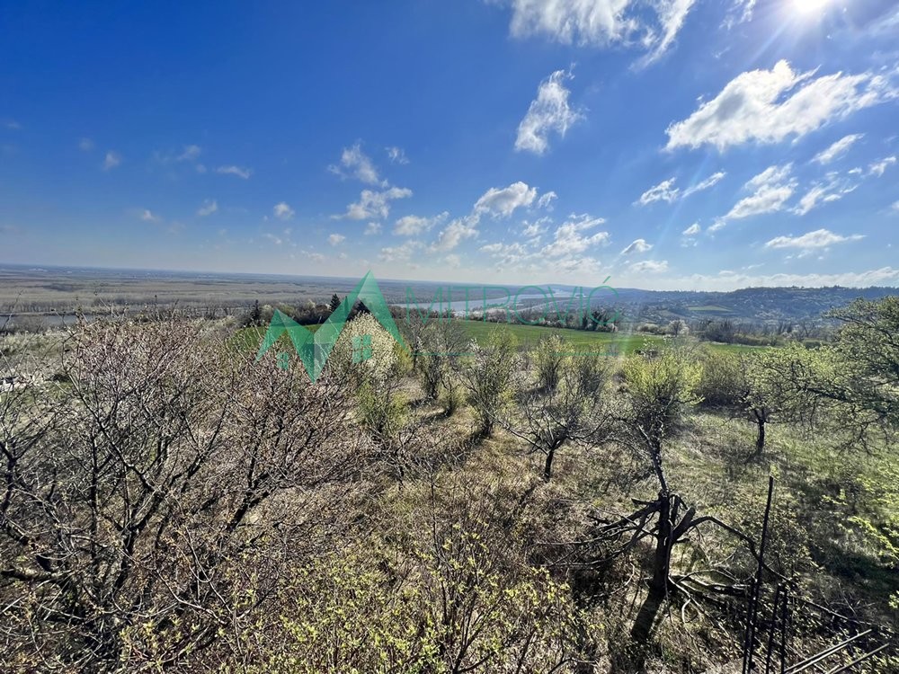 Plac Prodaja Sremski Karlovci Plac Prodaja Sremski Karlovci 8048 m2
