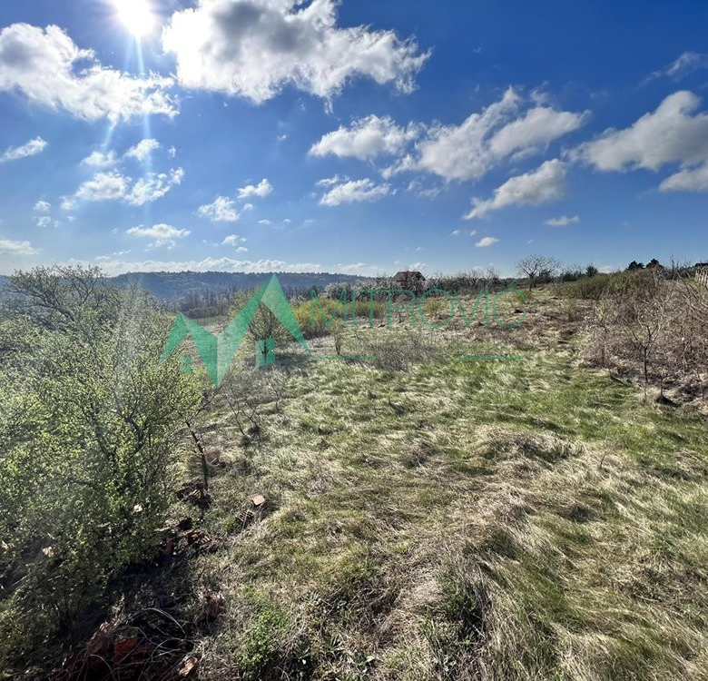 Plac Prodaja Sremski Karlovci  8048 m2