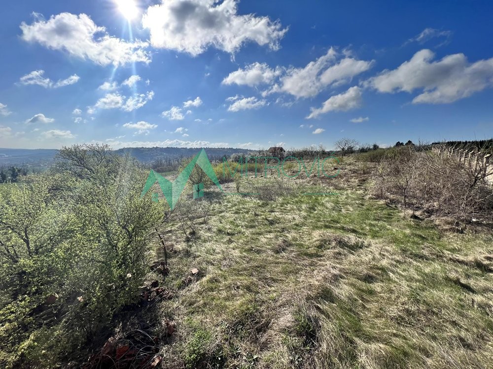 Plac Prodaja Sremski Karlovci Plac Prodaja Sremski Karlovci 8048 m2