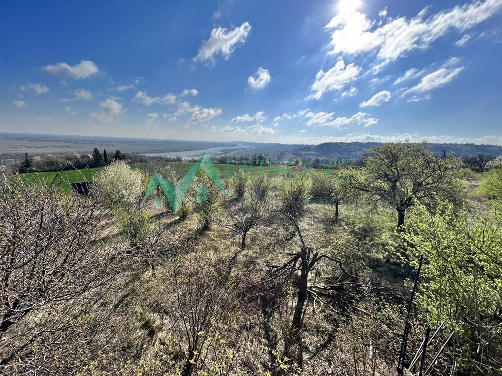 Plac Prodaja Sremski Karlovci Plac Prodaja Sremski Karlovci 8048 m2