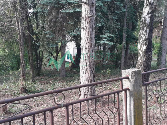 Plac Prodaja Čortanovci  890 m2