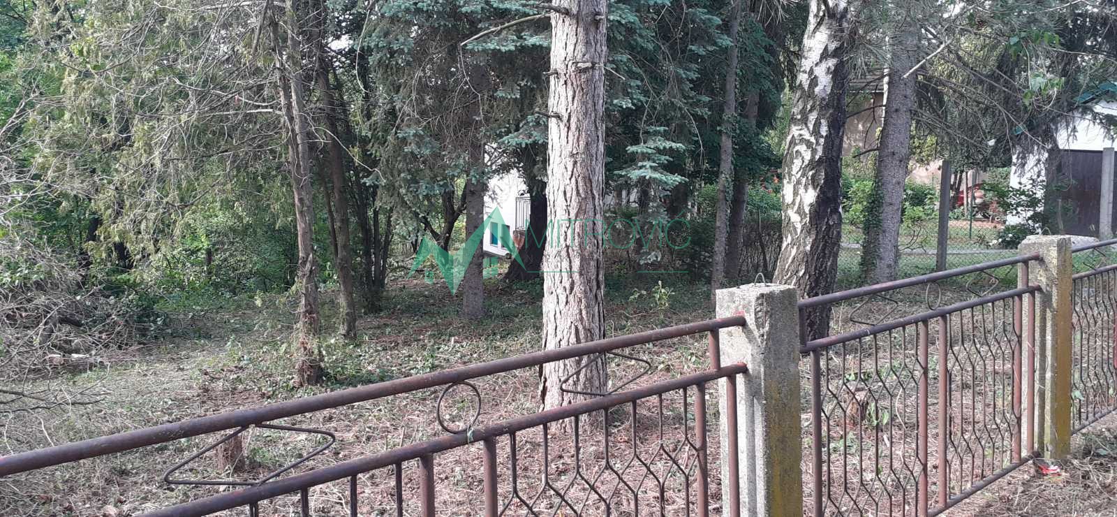Plac Prodaja Čortanovci Plac Prodaja Čortanovci 890 m2