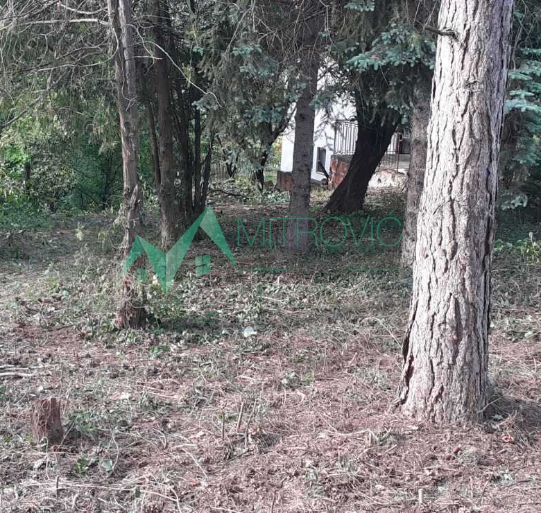 Plac Prodaja Čortanovci  890 m2