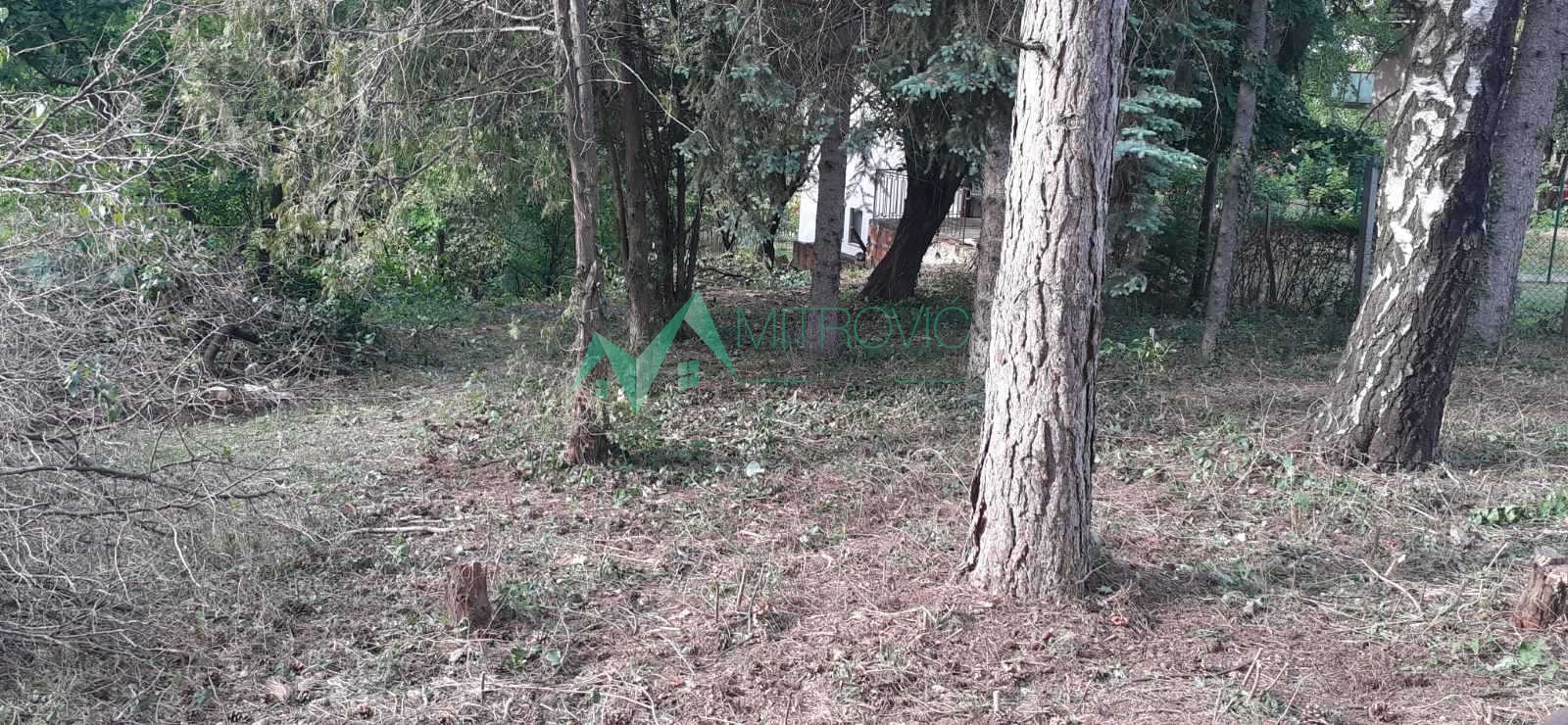 Plac Prodaja Čortanovci Plac Prodaja Čortanovci 890 m2