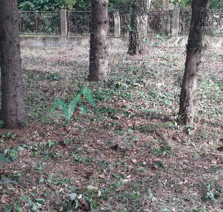 Plac Prodaja Čortanovci  890 m2