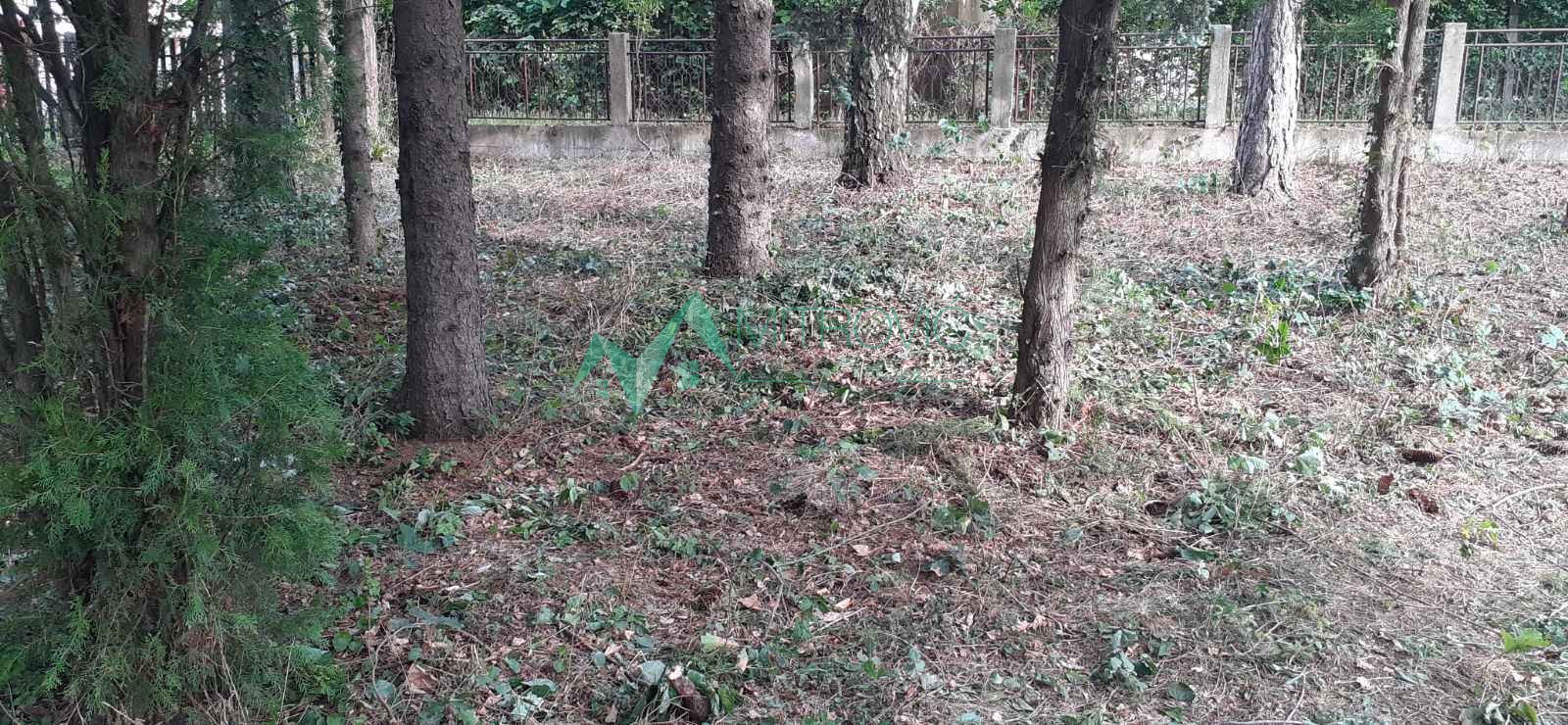Plac Prodaja Čortanovci Plac Prodaja Čortanovci 890 m2