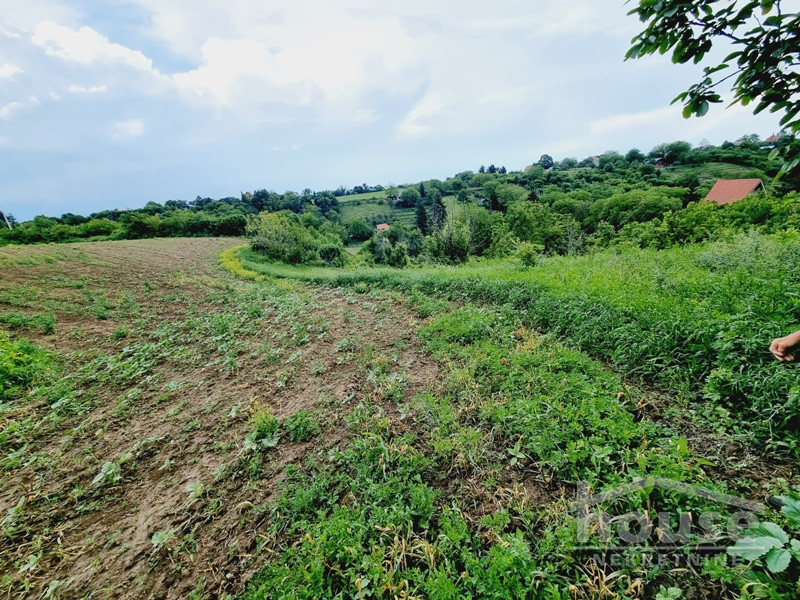Plac Prodaja Novi Sad Plac Prodaja Novi Sad 8470 m2
