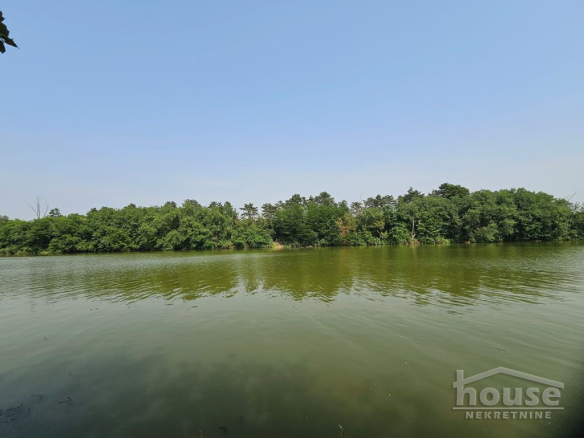 Plac – Novi Sad, Bačko Gradište  – ID 7081005