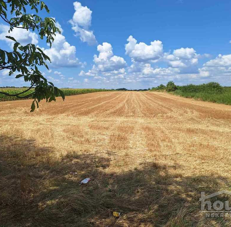 Plac Prodaja Novi Sad  11523 m2