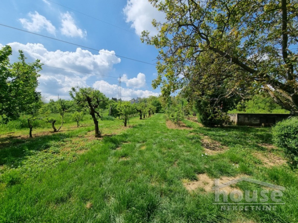 Plac – Novi Sad, Bocke  – ID 7080983