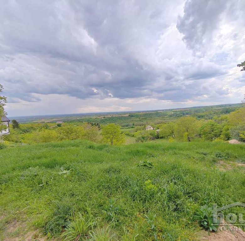 Plac Prodaja Novi Sad  5050 m2
