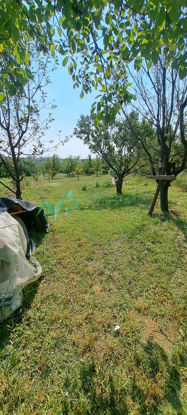 Plac Prodaja Irig  1381 m2