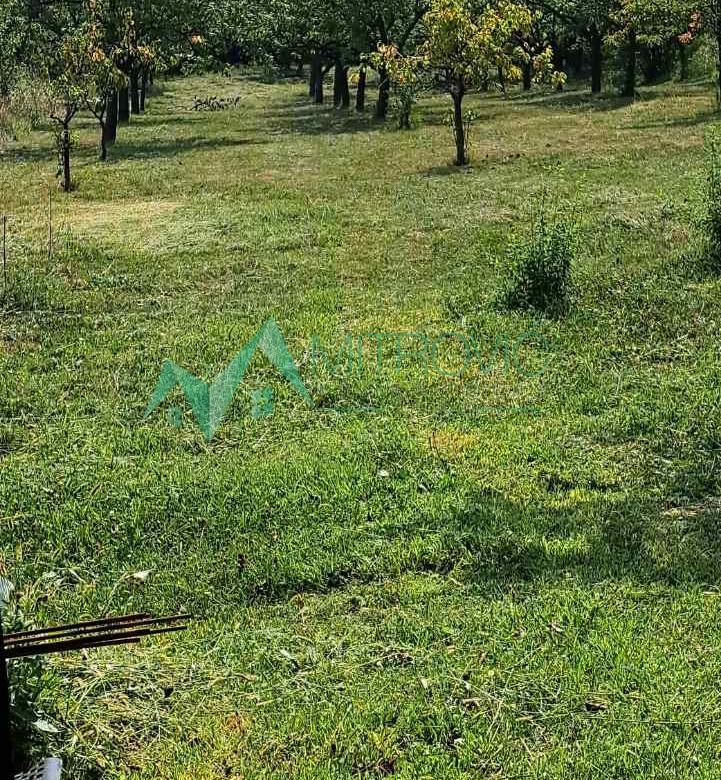 Plac Prodaja Irig  1381 m2