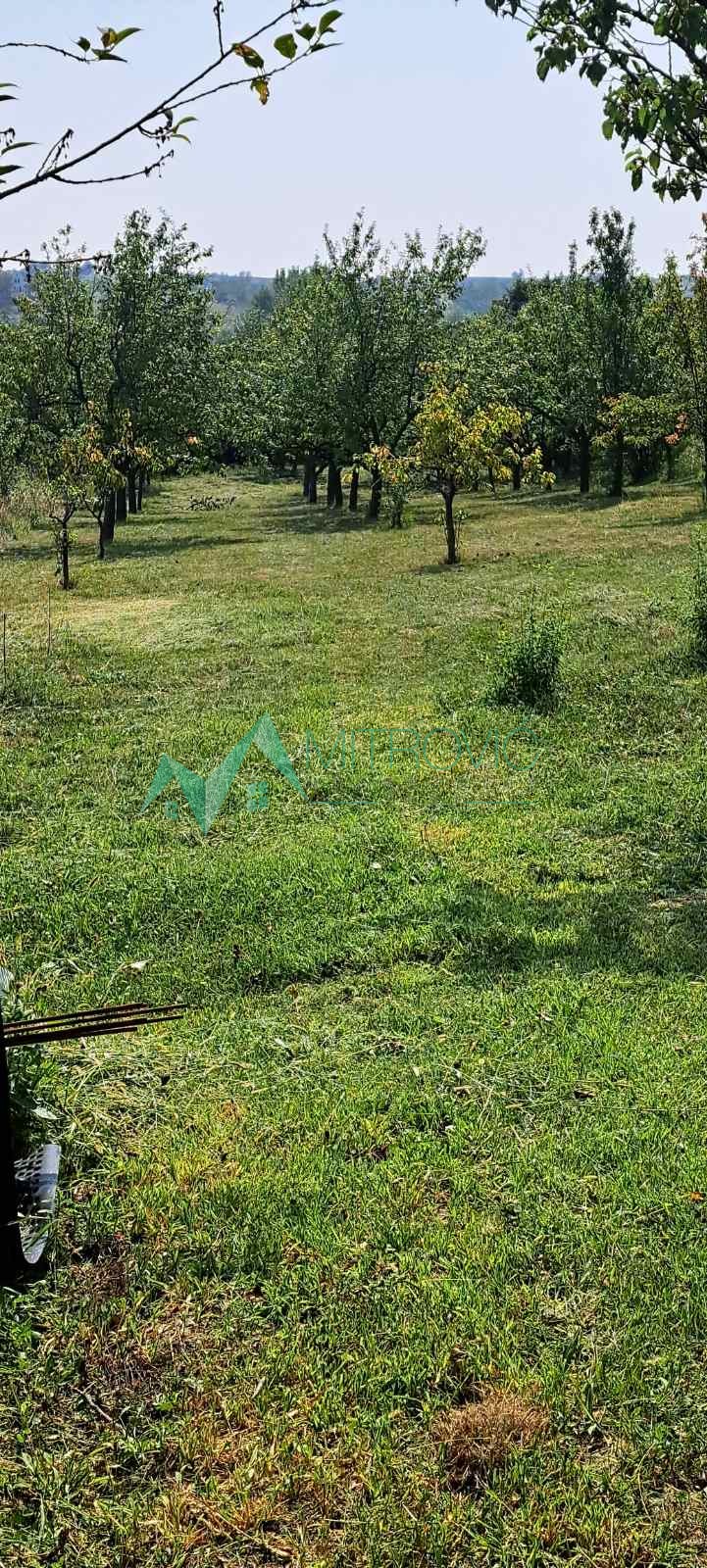 Plac Prodaja Irig  1381 m2