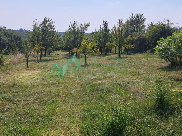 Plac Prodaja Irig  1381 m2