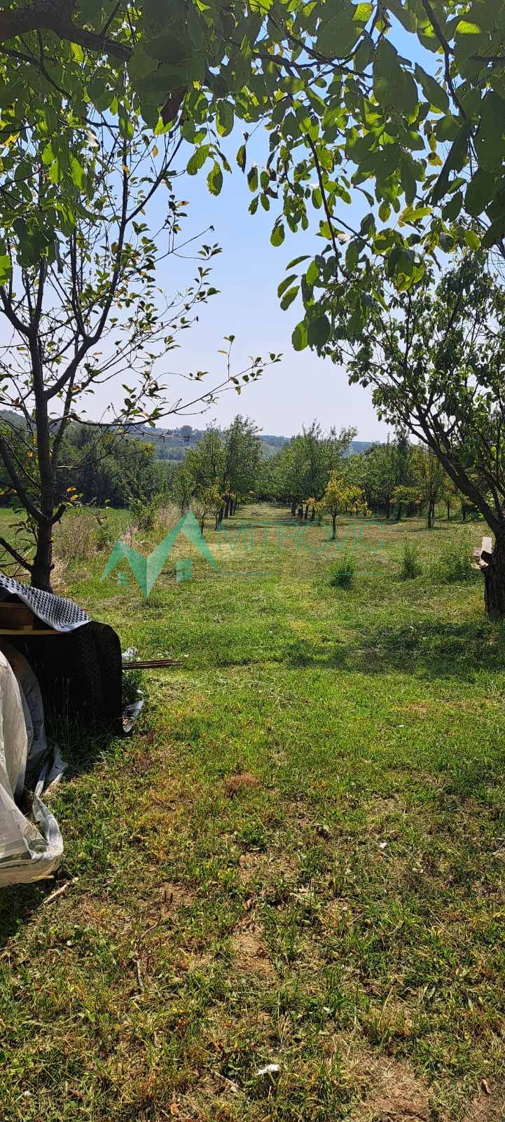 Plac Prodaja Irig  1381 m2