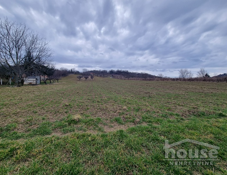 Plac – Novi Sad, Livade – ID 7081081.