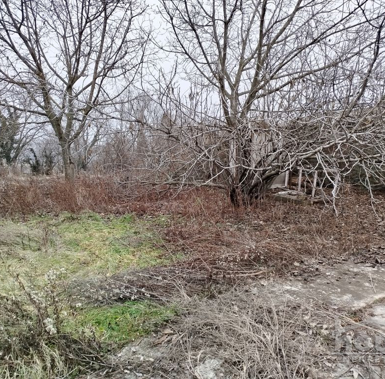 Plac Prodaja Novi Sad  517 m2