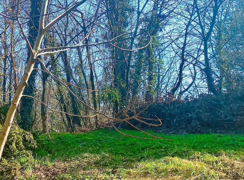 Plac – Novi Sad, Popovica – ID 7081349.